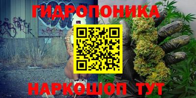 эйфоретик Заволжье