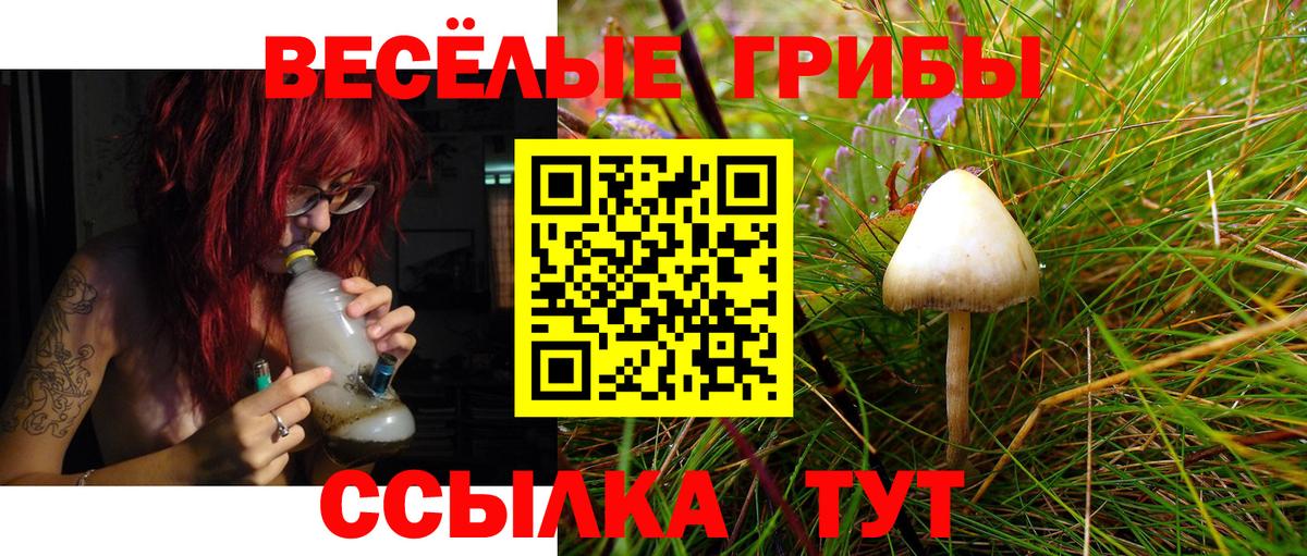 где продают наркотики  Галлюциногенные грибы Magic Shrooms  Вход с VPN  Лобня 