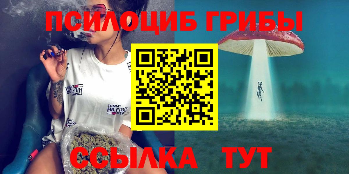 Галлюциногенные грибы Psilocybine cubensis Лобня